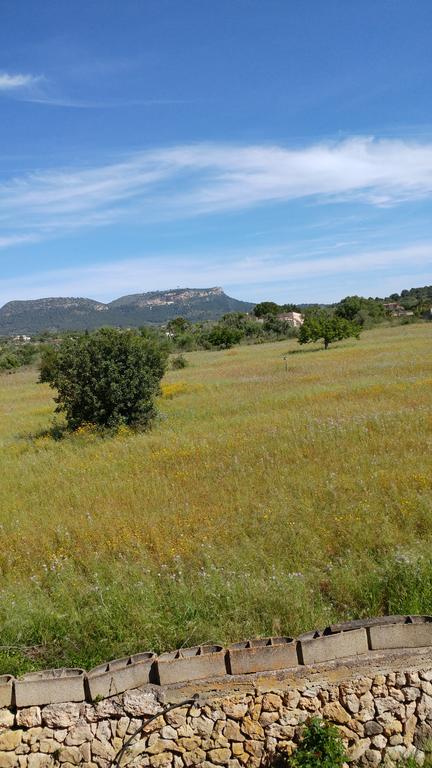 S'hort De N'andreu Casa rural